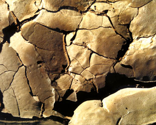 mud