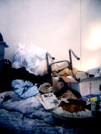trash heap